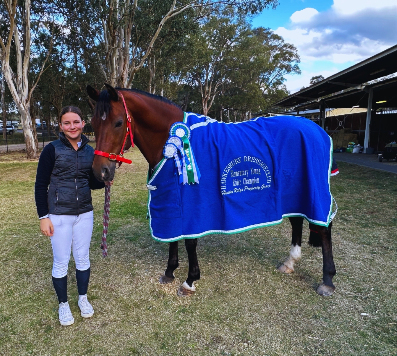 Hawkesbury Dressage Festival – Sponsored Class Highlight