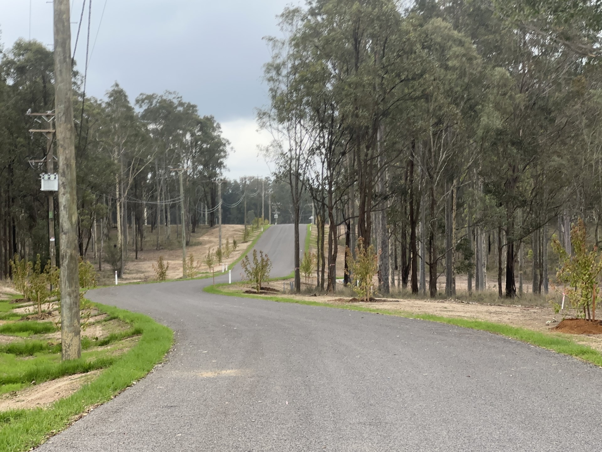 “Big Ridge Flourishes with New Leafy Lanes!”